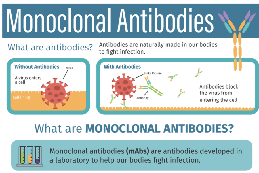 Terapia monoclonal