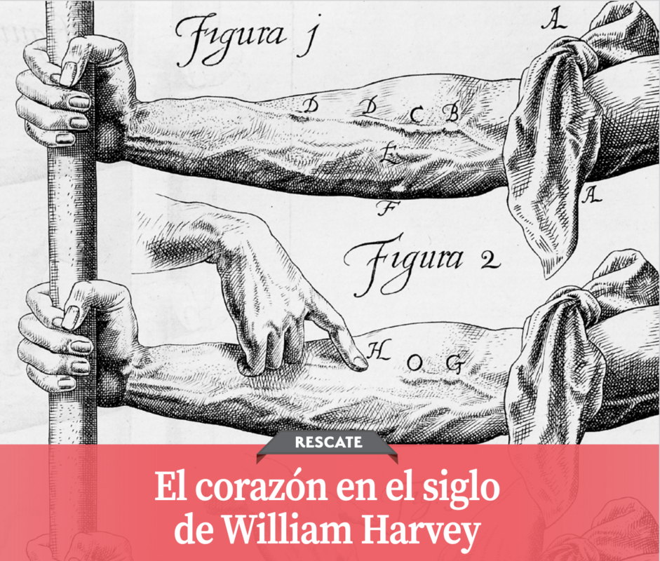 El corazón en el siglo de William Harvey