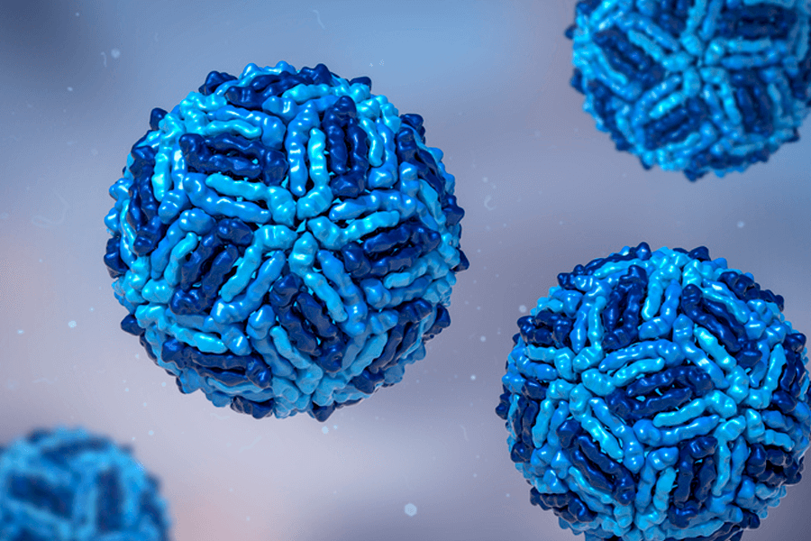 El-Flavivirus-la-familia-de-virus-mortal-mas-buscada